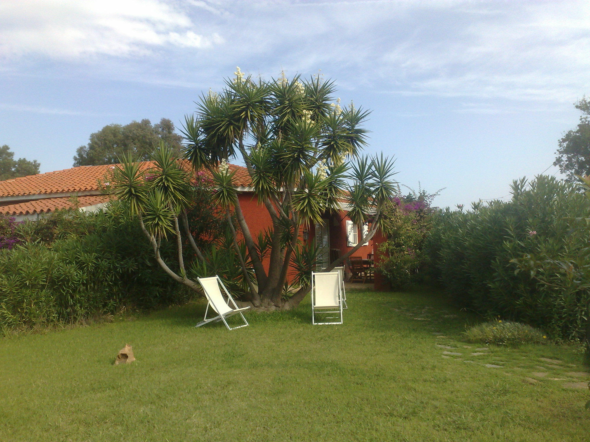 בודוני Residence La Pineta מראה חיצוני תמונה